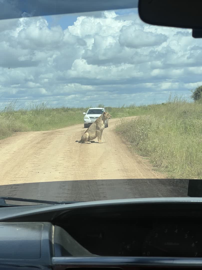 Safari game drive from Iten
